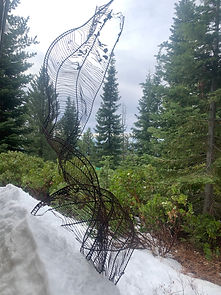 CA431DFD-20A1-4F3A-A111-97D672989F06.jpe