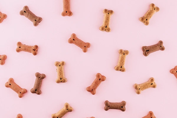 dog bone treat on pink background