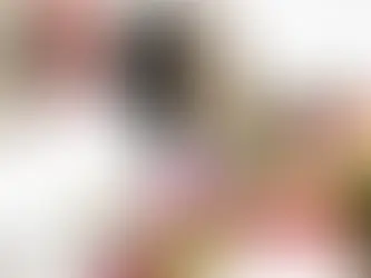 Safe and harmless: Which fruits and vegetables can my dog eat?