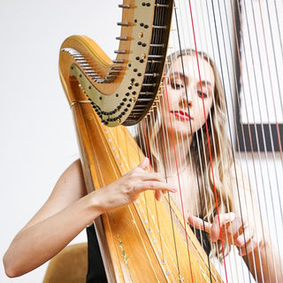 Solo Harpist act blitz nation event live music