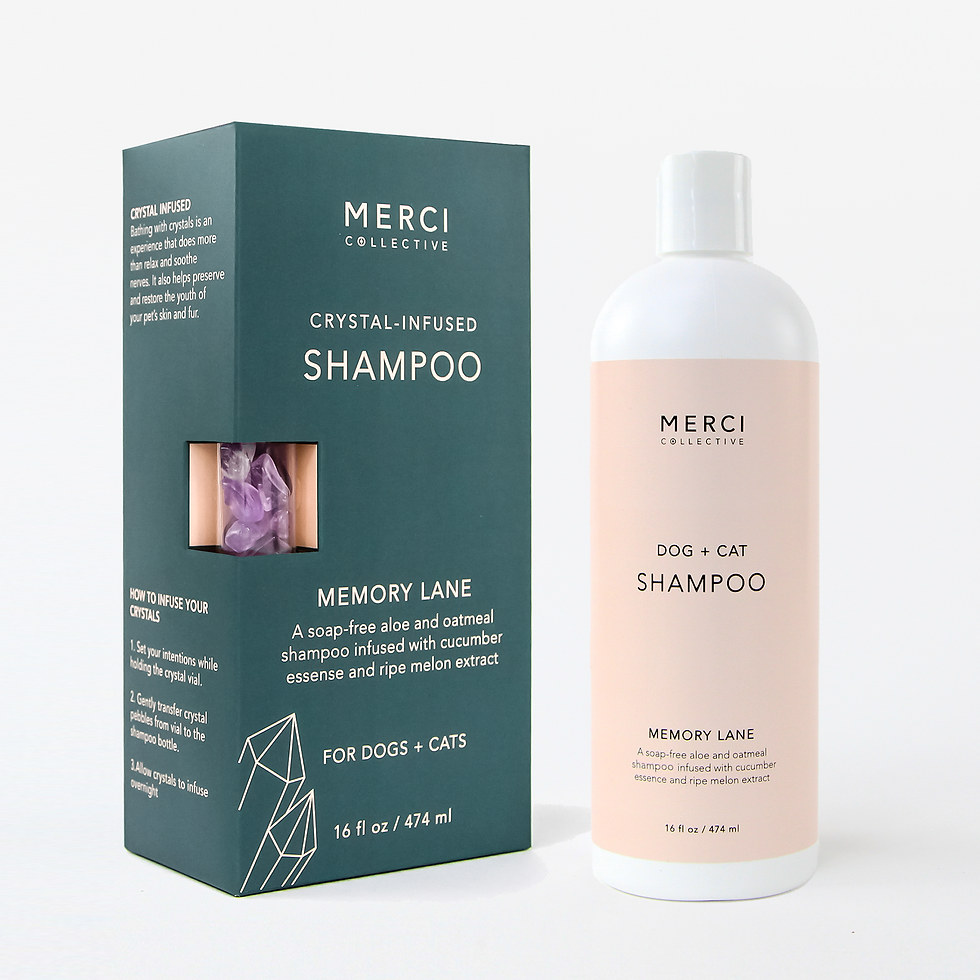 Amethyst Infused Shampoo for Cat & Dog