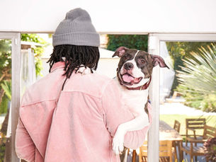 Astrology: Calling all Gemini Pets!