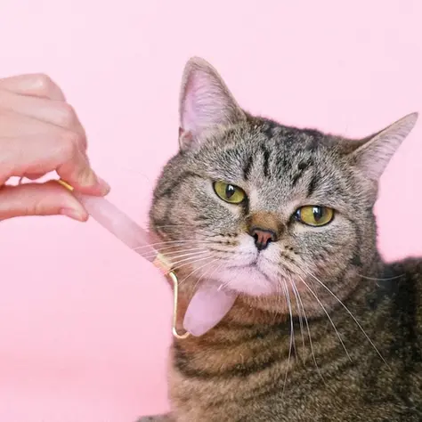 What Are The Best Healing Crystals For Cats?