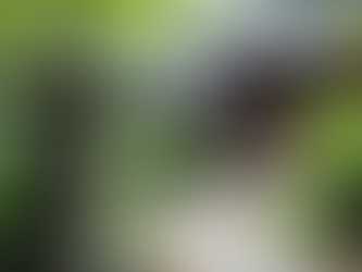 Exploring the Benefits of Metta Meditation in Daily Life According to the Pali Canon