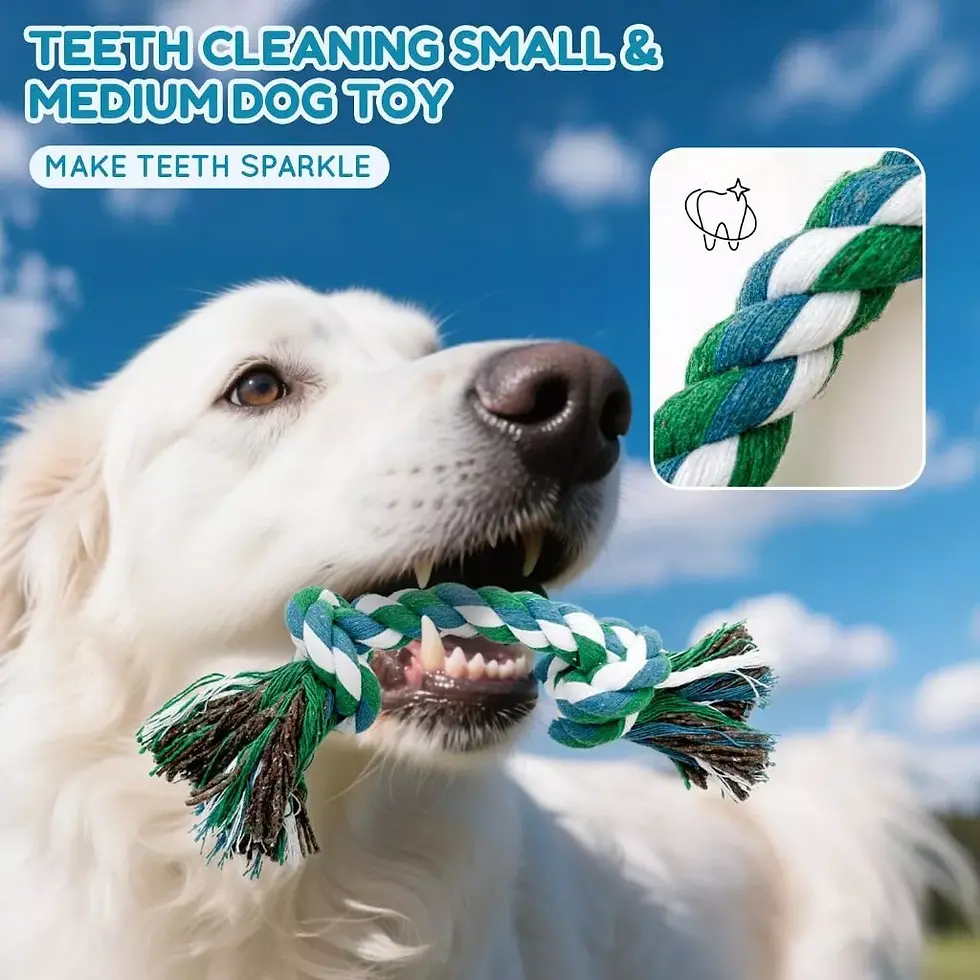 Miniatura: 10/6 Kit Teeth Bite Puppy Anti-stress Pet Ranger Teeth Cleaning Mouth