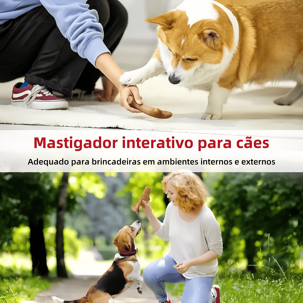 Miniatura: Chewing Toy for Large Dog Dental Cleaning Resistant Grinding and Bacon Flavor