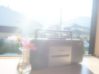 工程表、そしてアイヌの絵本