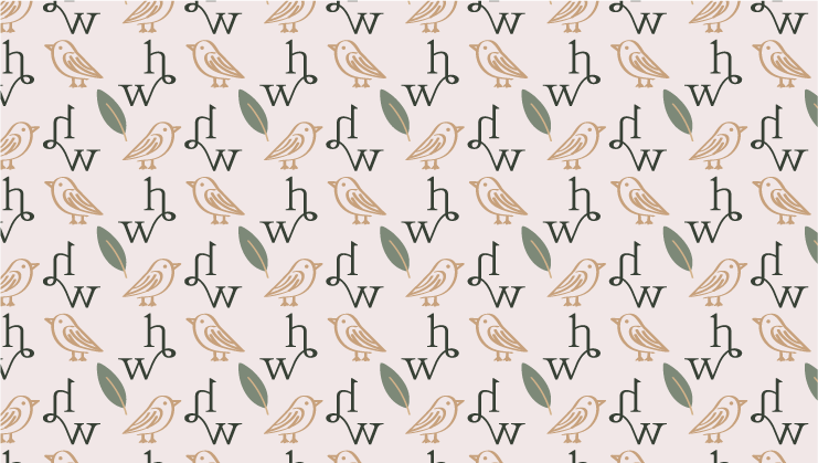 Pink Oyster Mushrooms