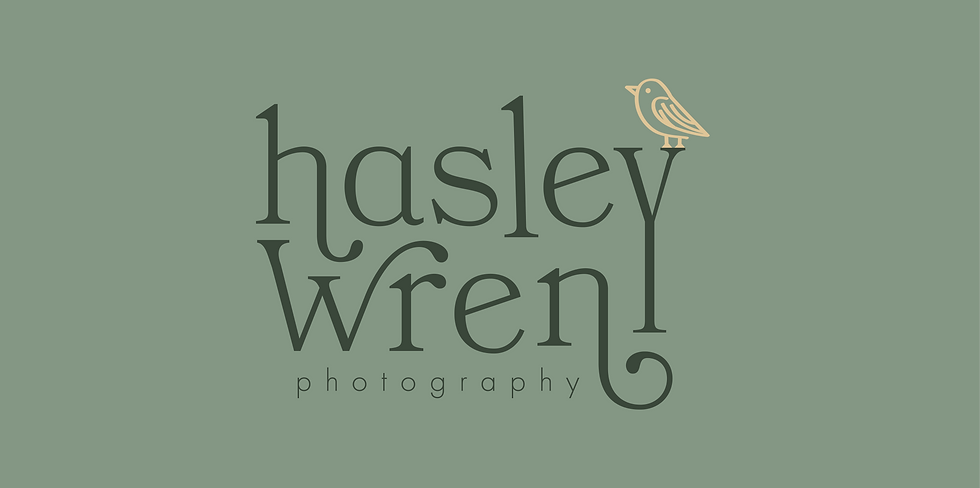 Pink Oyster Mushrooms