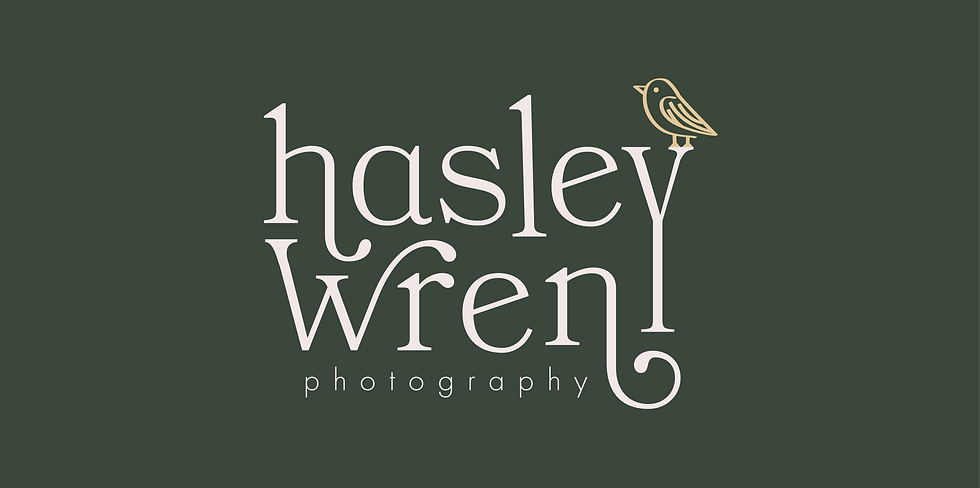 Pink Oyster Mushrooms