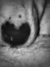 20230531_201334-01.jpeg