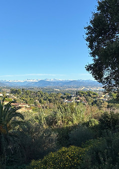 IMG_5724.jpeg