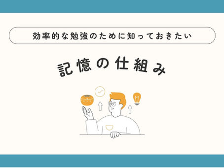 効率的な勉強のために知っておきたい記憶の仕組み
