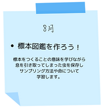 8.png