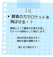 7.png