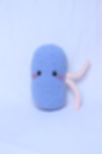 Miniatura: Riñón Kawaii