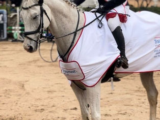 M A P L E R I D G E R E S U L T S ✨