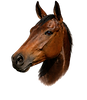 Luzi logo 22_edited.png