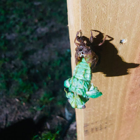 Vulnerability in Relationships