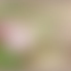 Alone Again…the Lie