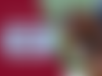 An image of a horse in a double bridle with the caption Dutch Ban on Unfriendly Equipment?