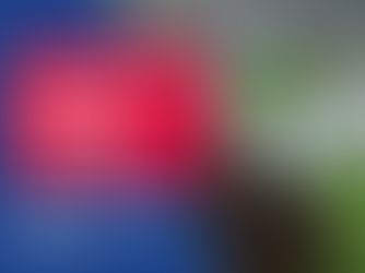 2025/2026 National Hunt Horses To Follow - Our Picks 