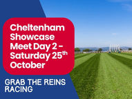 Cheltenham Showcase day 2 - Racecard and our picks for all 7 races.