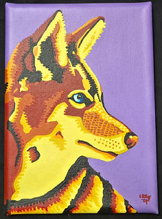 Coyote 2.jpg