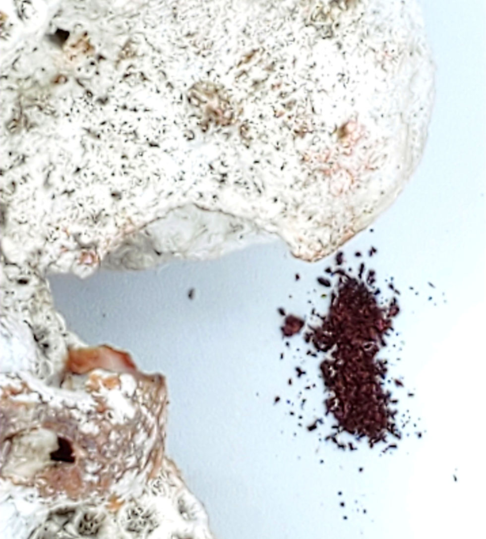 Thumbnail: "Haleakala" Eye Shadow Palette