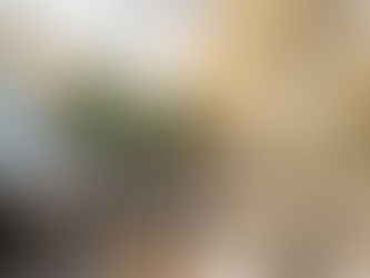 Paris: A Gastronomic Paradise for Michelin-Starred Dining