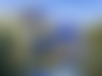 The Majorelle Garden: A Century of Beauty in Marrakech