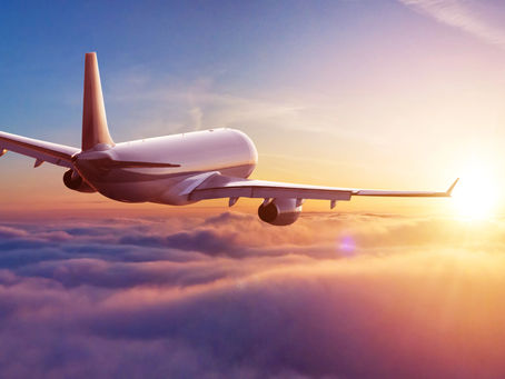 Effortless Arrivals: The Luxury of Airport Meet & Greet Services