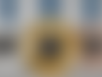 Paris 2024: A Medal Tally to Remember