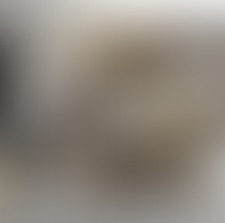 Louvre Couture: The Parisian Exhibition Now Immortalized in Print