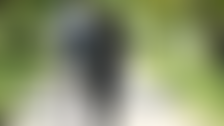 Answers to 6 Top Common Law Questions