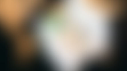 Guidelines for Applying for a Visitor Visa