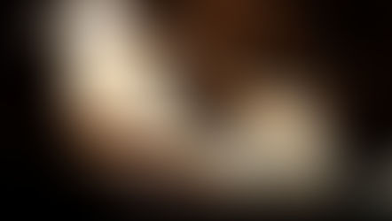 Hands of an alleged criminal handcuffed by the police.