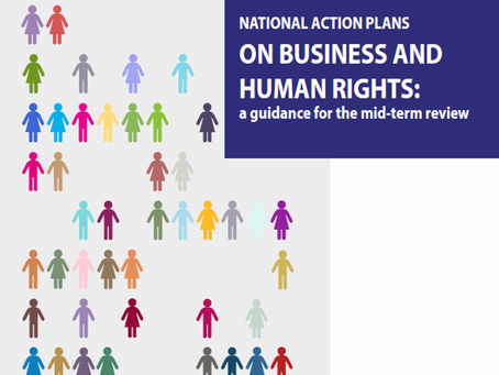 OUT NOW! National Action Plans on B&HR: A guidance for the mid-term review