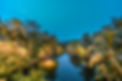 evening light.jpeg