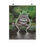 Thumbnail: Frog On A Log - Whimsical Rolled Poster - Fun Art for Home Decor