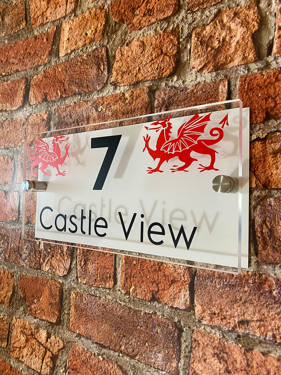 Thumbnail: The Welsh Dragon and Flag House sign