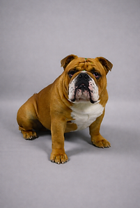 ChatGPT Image Jan 19, 2026 at 02_52_11 PM.png