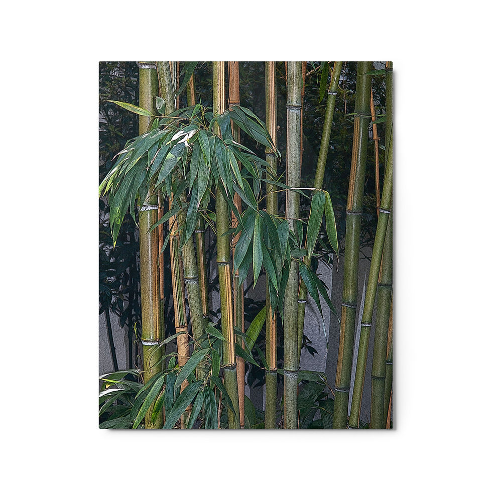 Green Bamboo