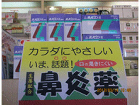 花粉症や鼻炎でお困りなら前橋市の漢方の茂木薬局
