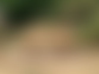 Latest News November 2025