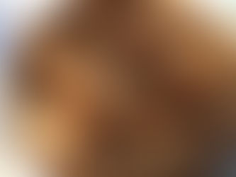 El caso AlmendrAR: Sin miedo a que los tilden de locos, los hermanos Paloma se animaron a producir almendras en el norte de Córdoba y su emprendimiento no para de crecer