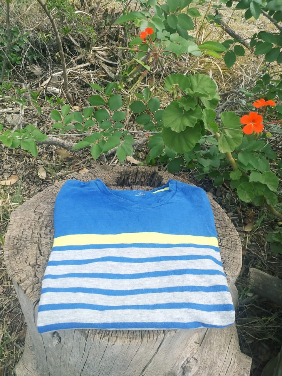 Remera GAP - Mod. Kids - Talle M