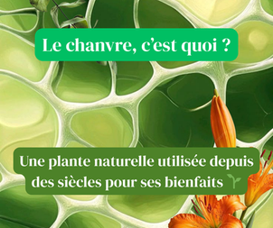 Le chanvre expliqué en 5 slides - sans jargon