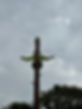 Training Image 7.jpg