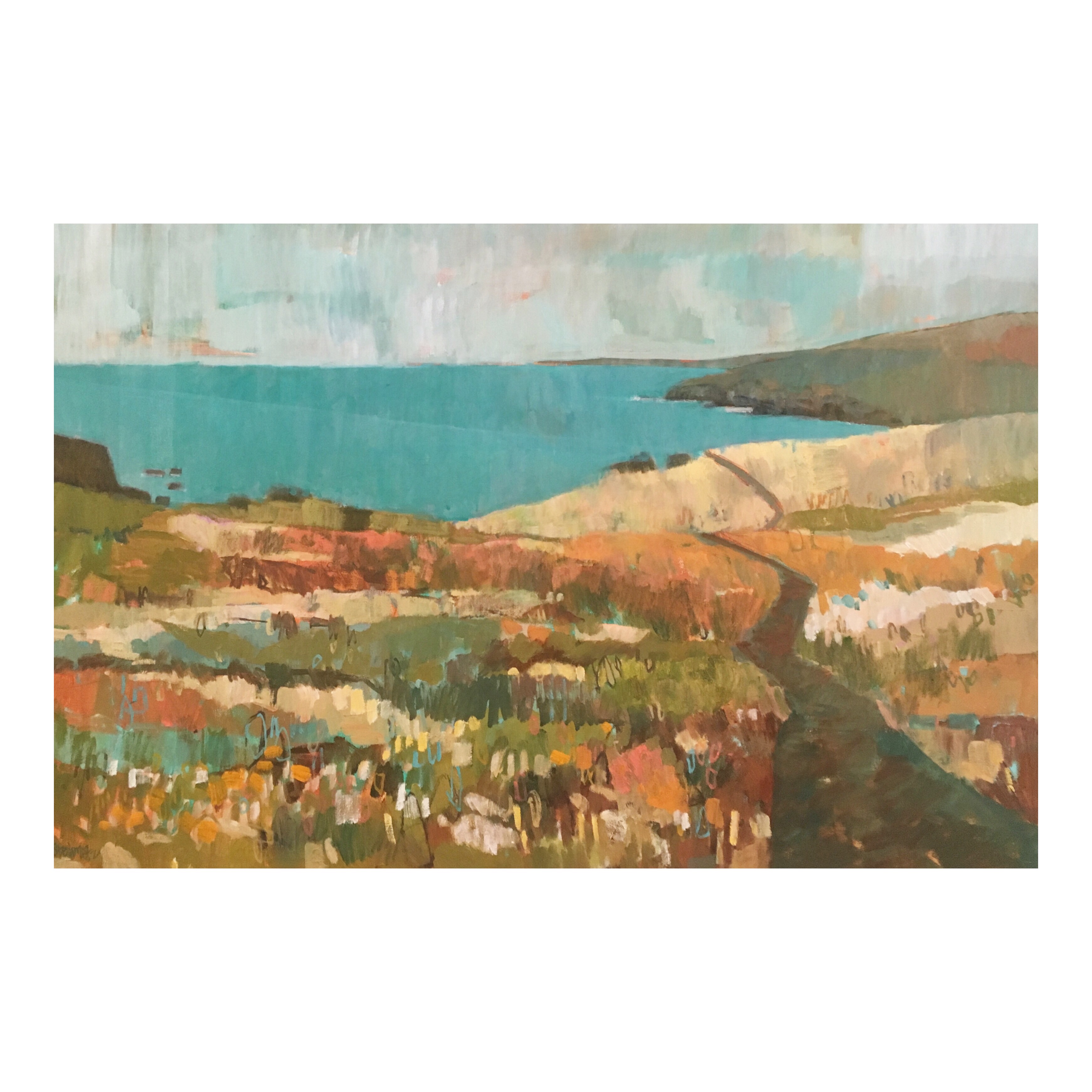 Marin Headlands Spring
